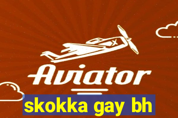 skokka gay bh